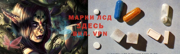 стаф Абаза