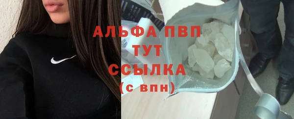 стаф Абаза