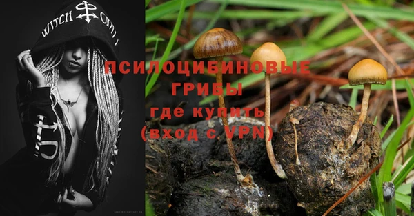 гидропоника Абинск